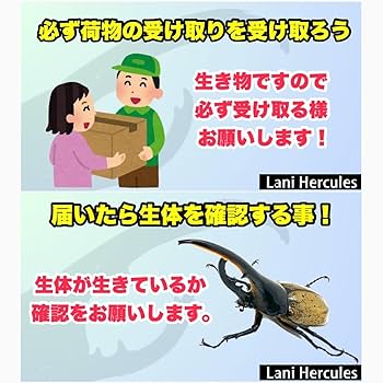 ラニヘラクレスセット Amazon | 【ラニヘラクレス】ラニヘラクレスセット ヘラクレス